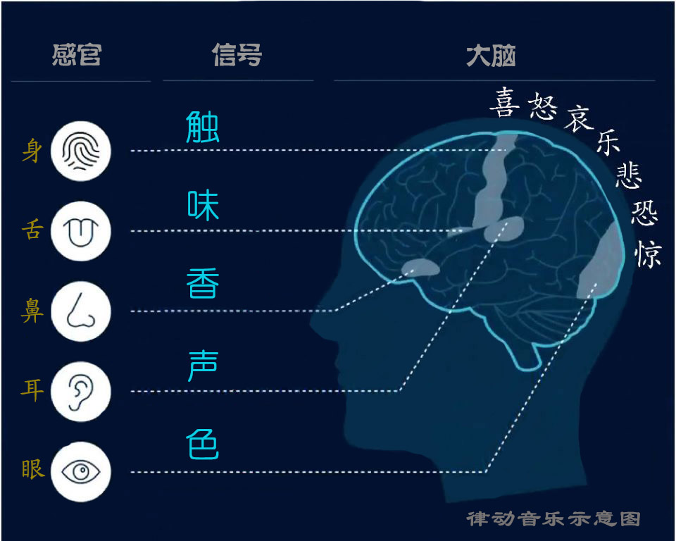 音乐疗愈，化解压力、焦虑的“妙药”！